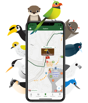 ar animals