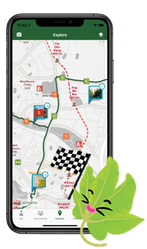 wayfinding