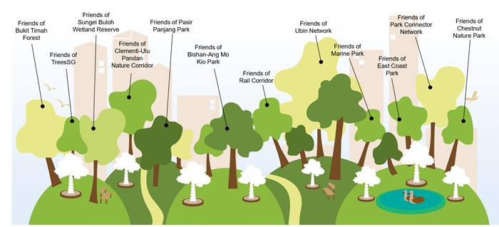 FotP forest