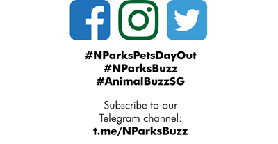 resized pdo sm icon hashtag