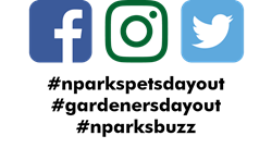 sm icons and hashtag
