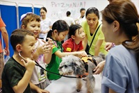 junior vet
