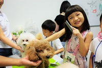 junior pet groomer