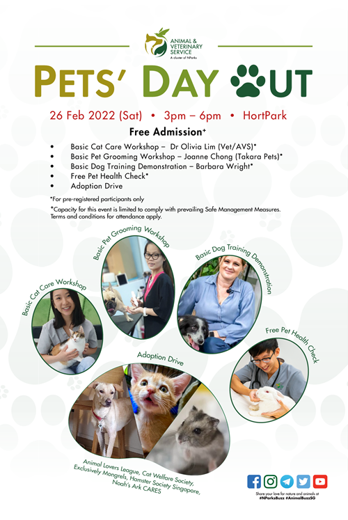 pdo 26 feb poster