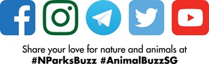 nparks sm icons