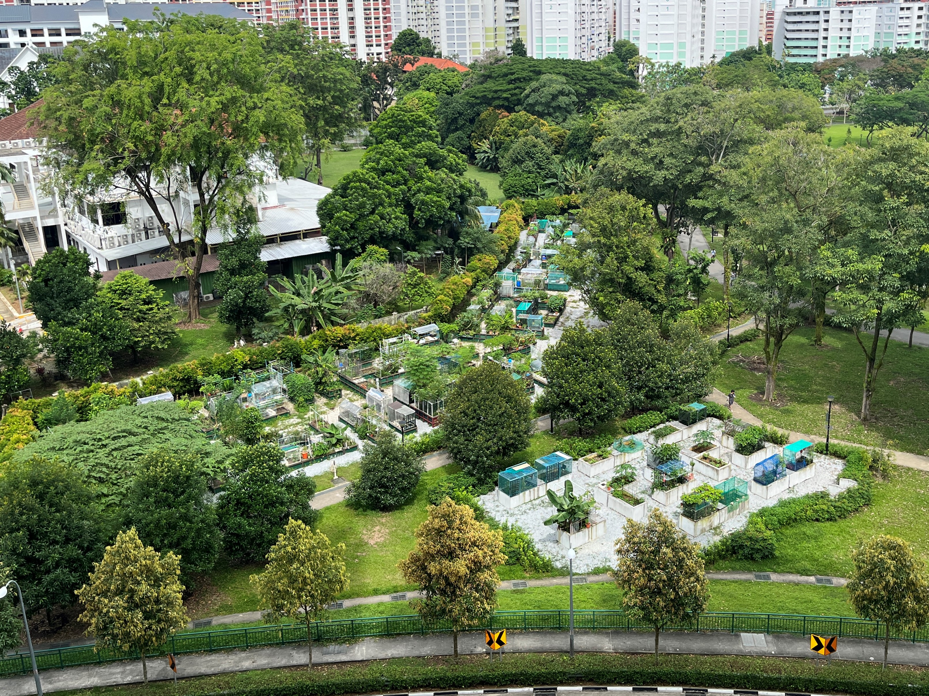 Gardening @ Punggol Park