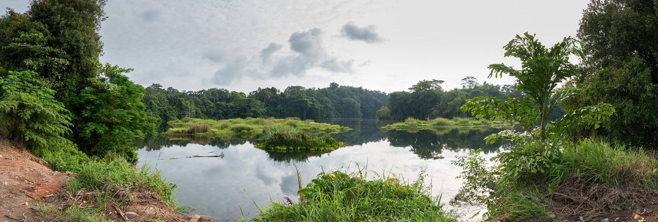 Pekan Floating Wetlands