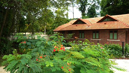 kampung garden