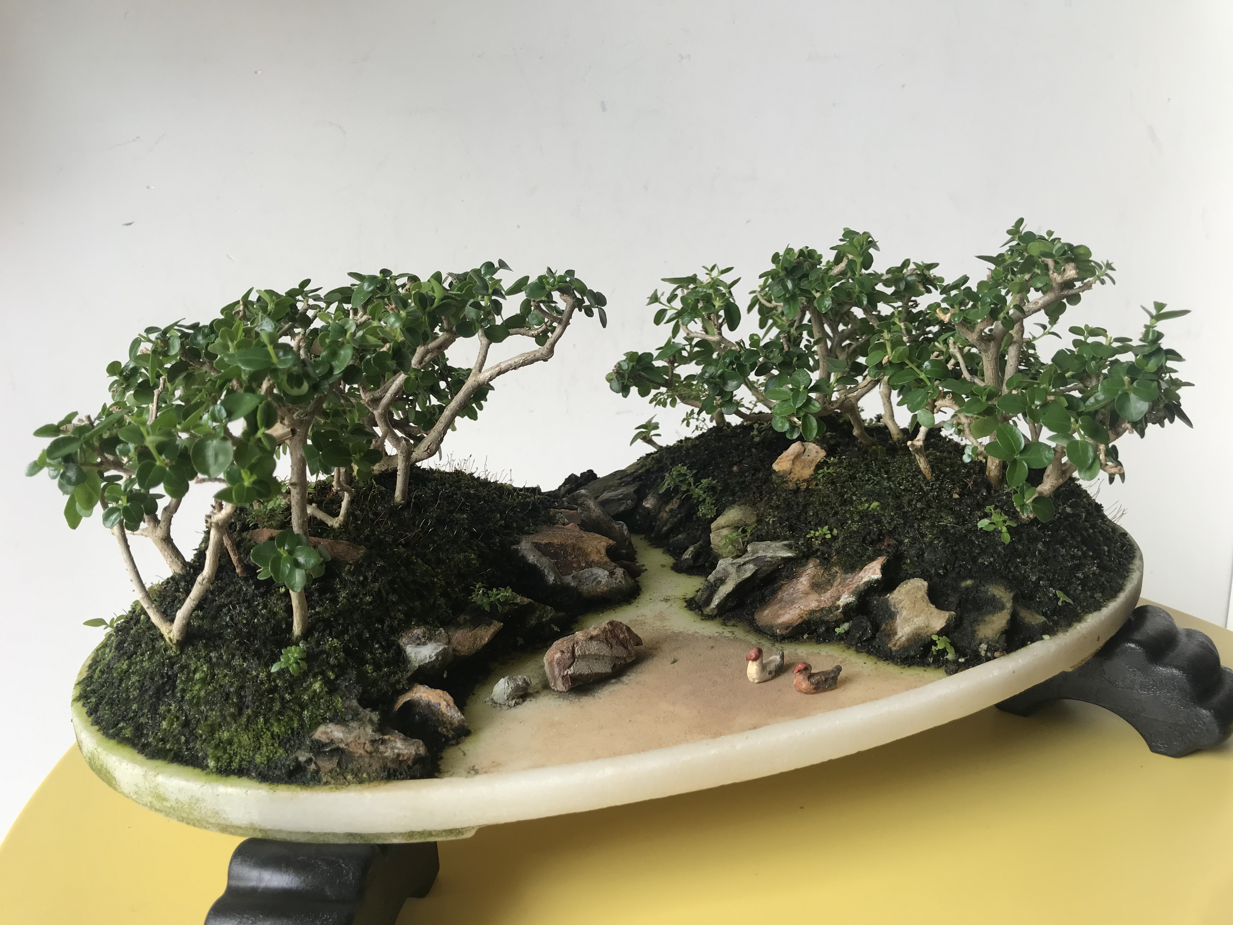 A bonsai landscape.