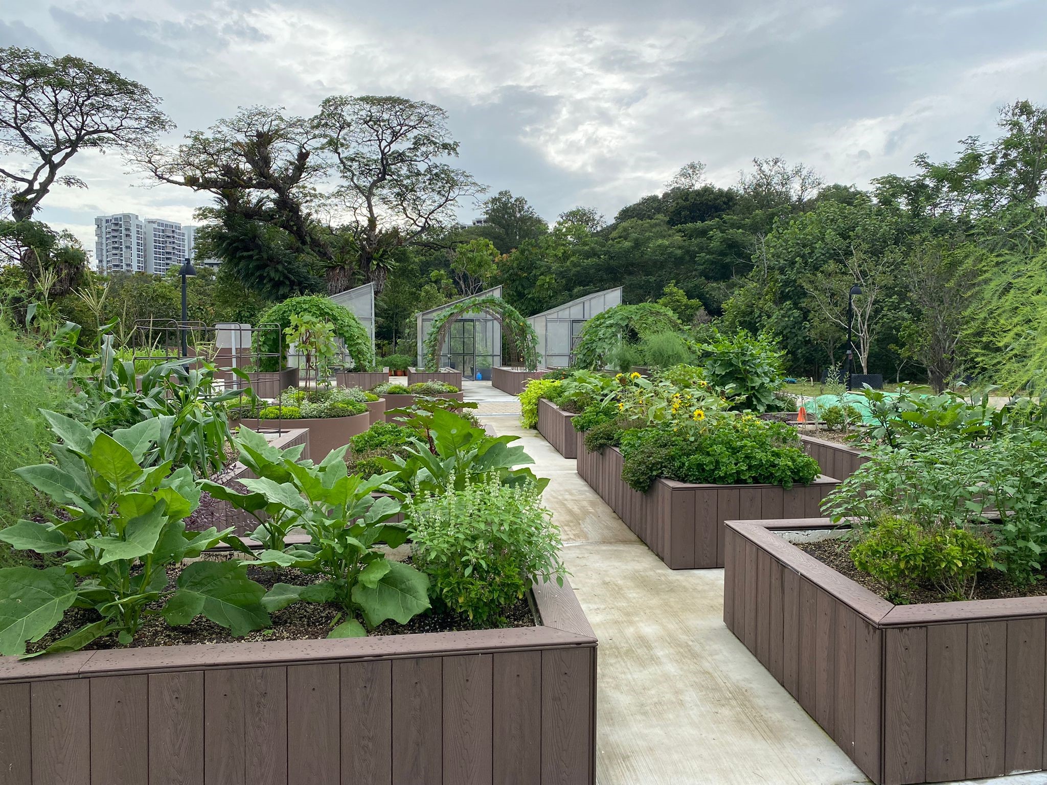 JLG's Allotment Gardens