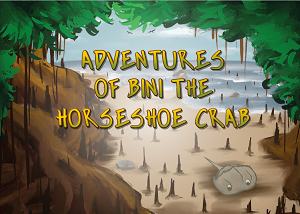 adventures of bini the horseshoe crab