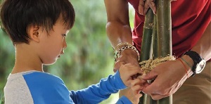 The Tribal warrior 6 june