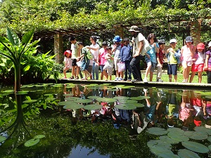fantastic freshwater life