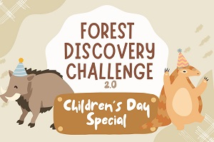 Forest Discovery Challenge 6 Oct