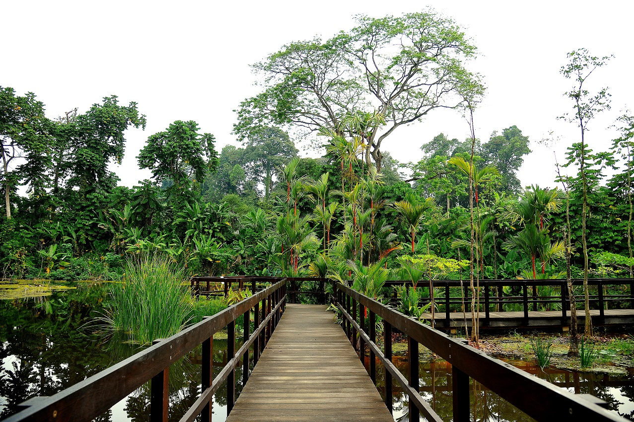 Learning Forest Keppel Discovery Wetlands