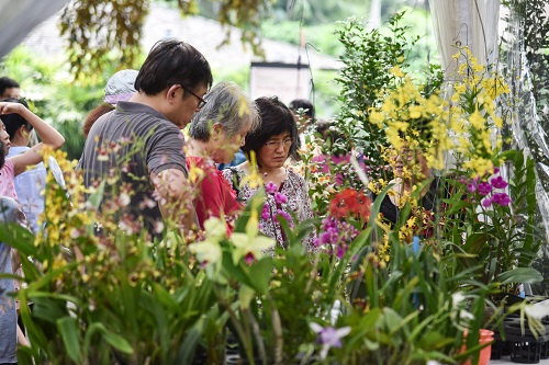 plantssale