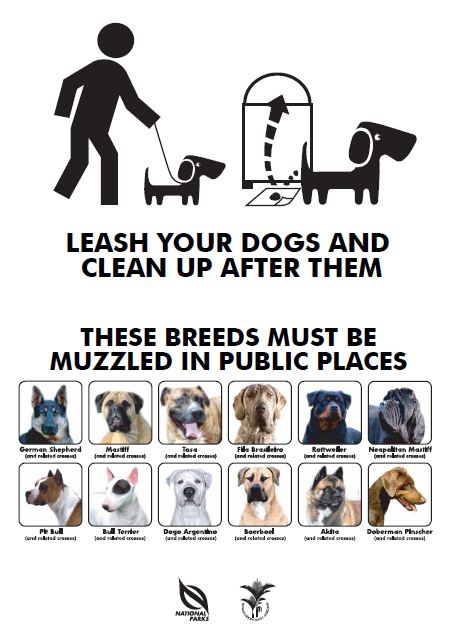 Image of poster for rules for dog owners.
