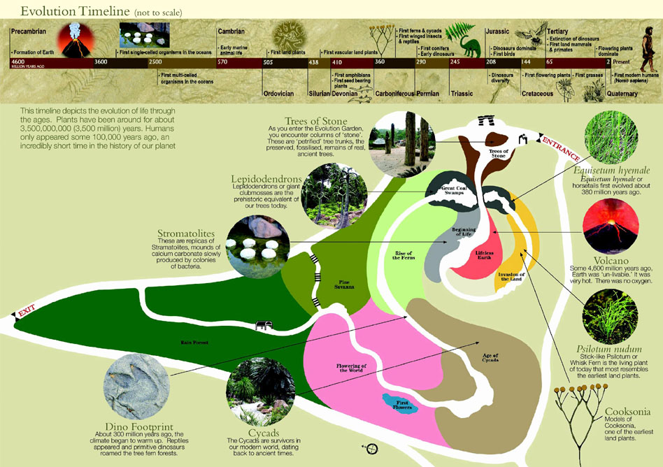 Singapore Botanic Garden Map Maps & Brochures