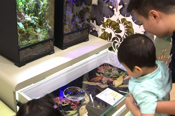 Look through magnifying glasses to spot traits that help botanists to identify different species that look similar