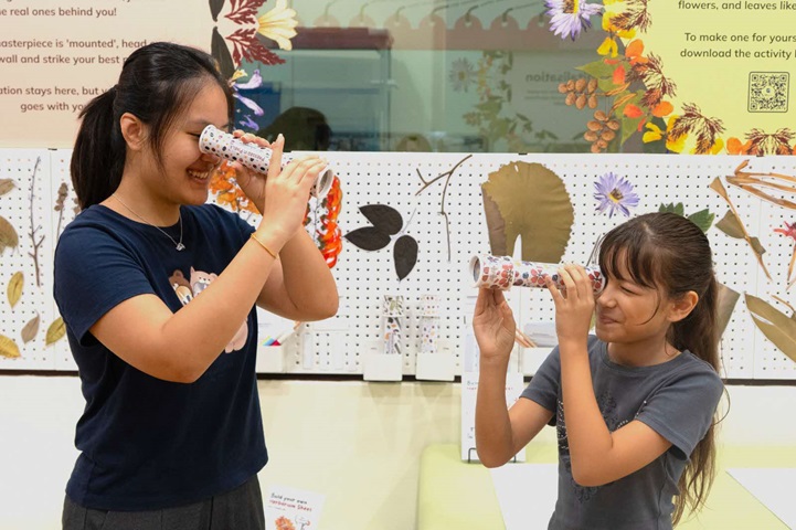 Play with kaleidoscopes filled with seeds, leaves and flowers, and piece together your own magnetic herbarium specimen! 