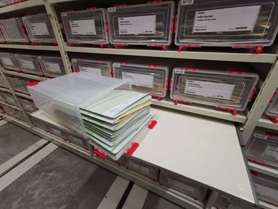 Treasures of the Singapore Herbarium