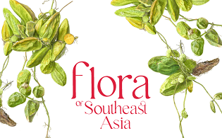 Flora of Southeast Asia 2022