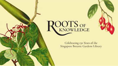 Roots of Knowledge