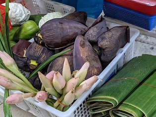 You probably enjoy eating banana fruits, but did you know that banana flowers can also be cooked and eaten in at least three different ways? Photo credit: L. Neo
