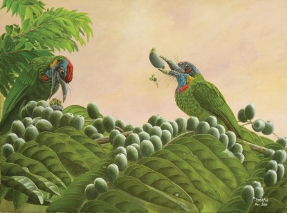 Special Moments in Nature - Thong Chow Ngian