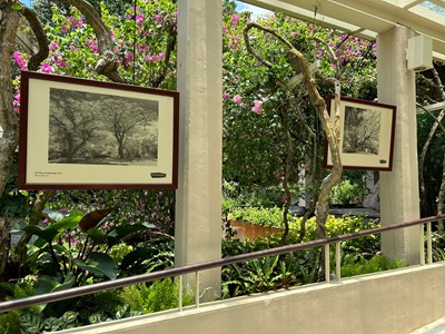 B&W Exhibition - Tanglin