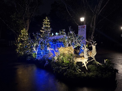 Festive display at Orchid Plaza 1