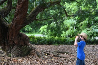 Nature Looking