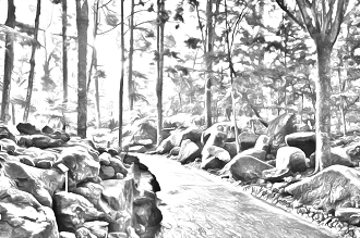 Sketch of Evolution Garden