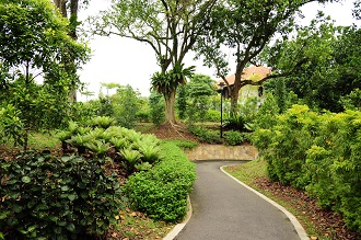 SBG Healing Garden
