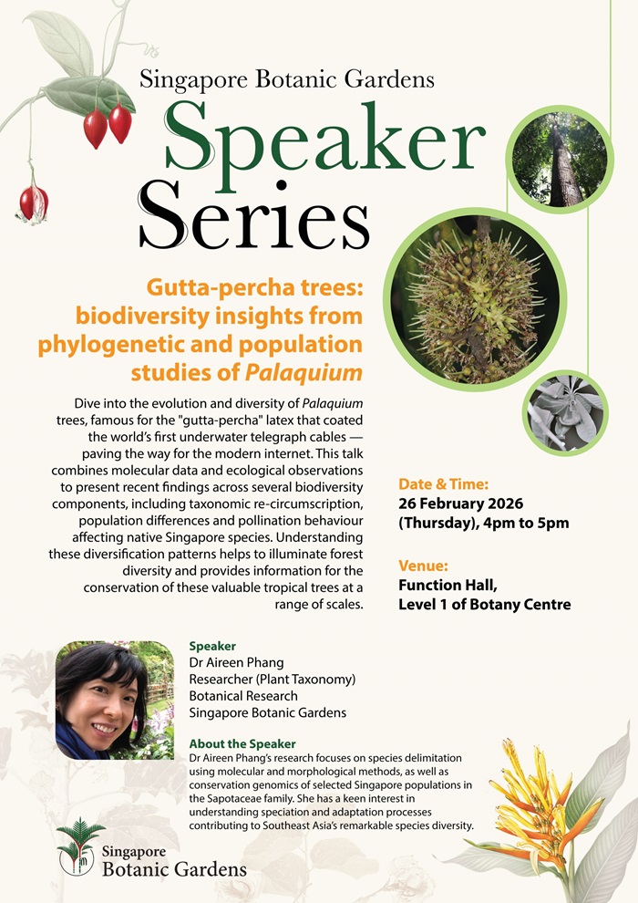 26 Feb 26 SS Poster AireenPhang resized