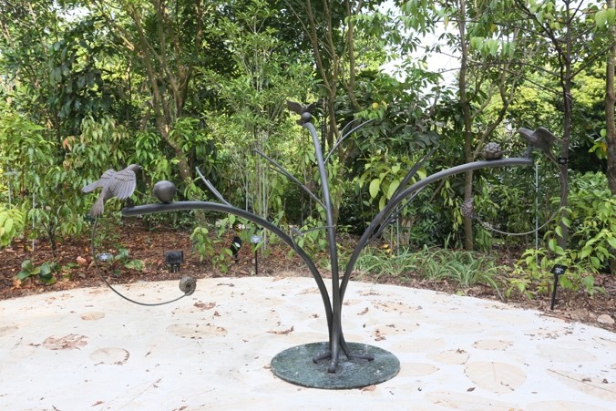 The Green Coffee Tree at Seed Dispersal Garden, Seed Bank