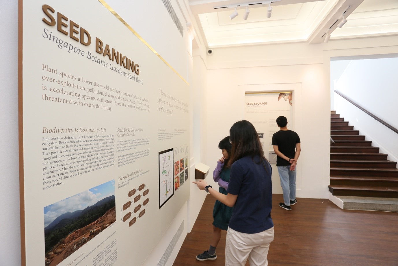 Level One of Seed Bank