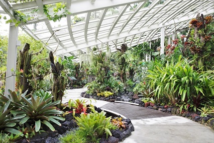 Yuen Peng McNeice Bromeliad House April 2021