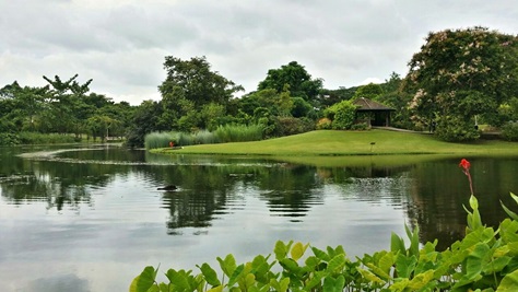 Image of the Eco Lake at Eco Garden.