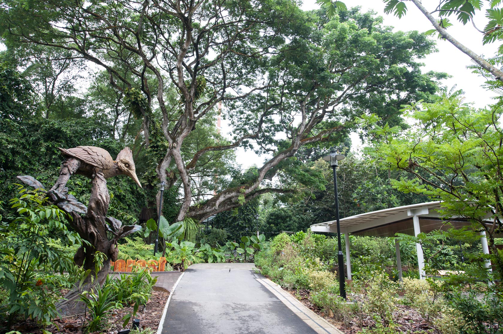 Kingfisher sculpture in JBCG