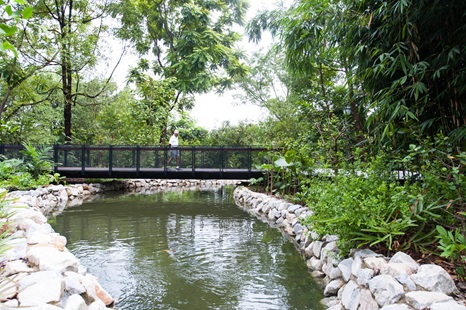 Ethnobotany Garden