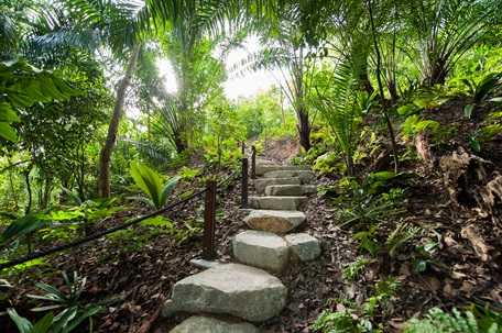 Mingxin Foundation Rambler's Ridge
