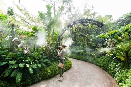 Mist Garden in the National Orchid Garden