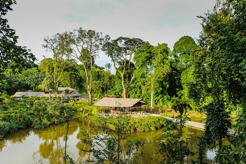 View of the SPH Wetlands at Learning Forest