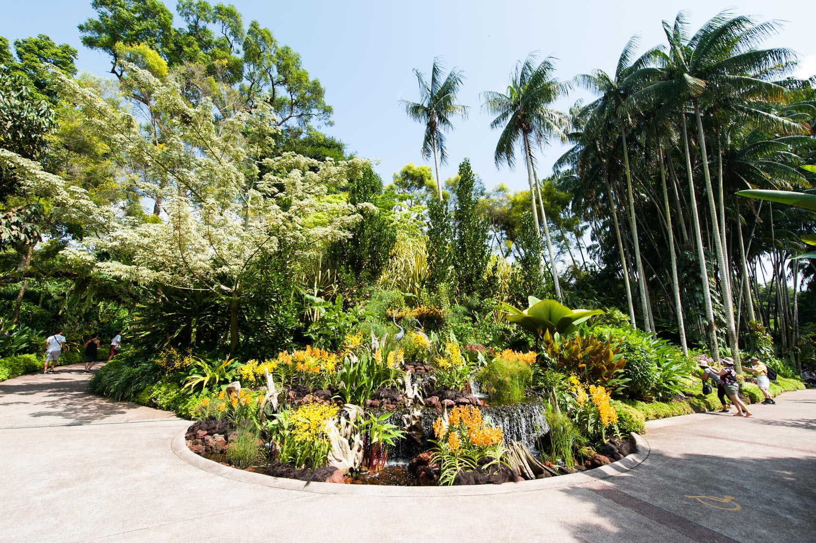 Botanic Garden Singapore Hours الصور Joansmurder Info