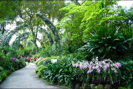 Silver Arches in the National Orchid Garden