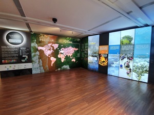 CDL Green Gallery Climate Action Exhibit