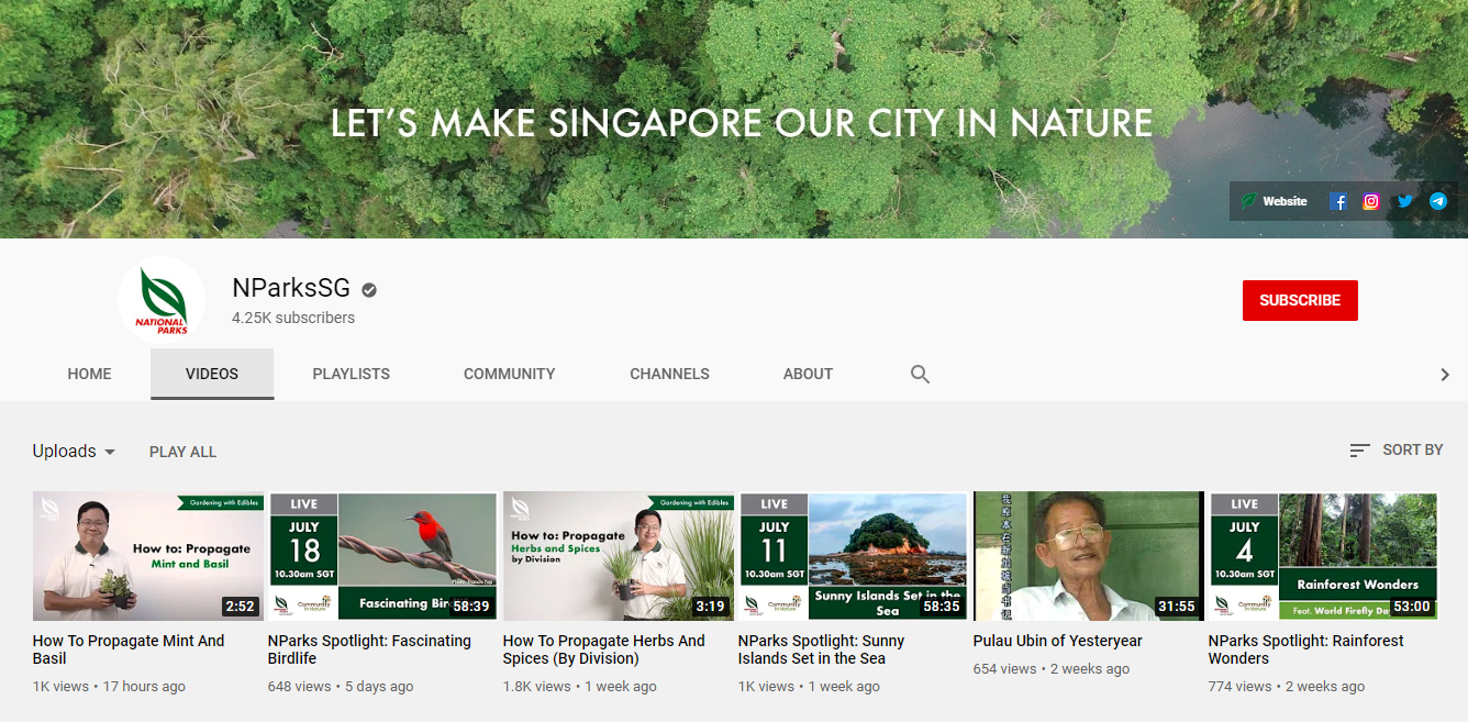 Visit our YouTube Channel