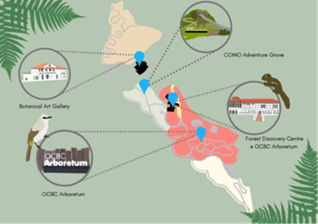 Conservation Chasers