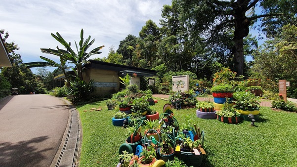 cpap outdoor landscape